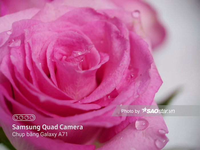 Huong dan chup anh macro “dung chuan” don gian bang smartphone-Hinh-9