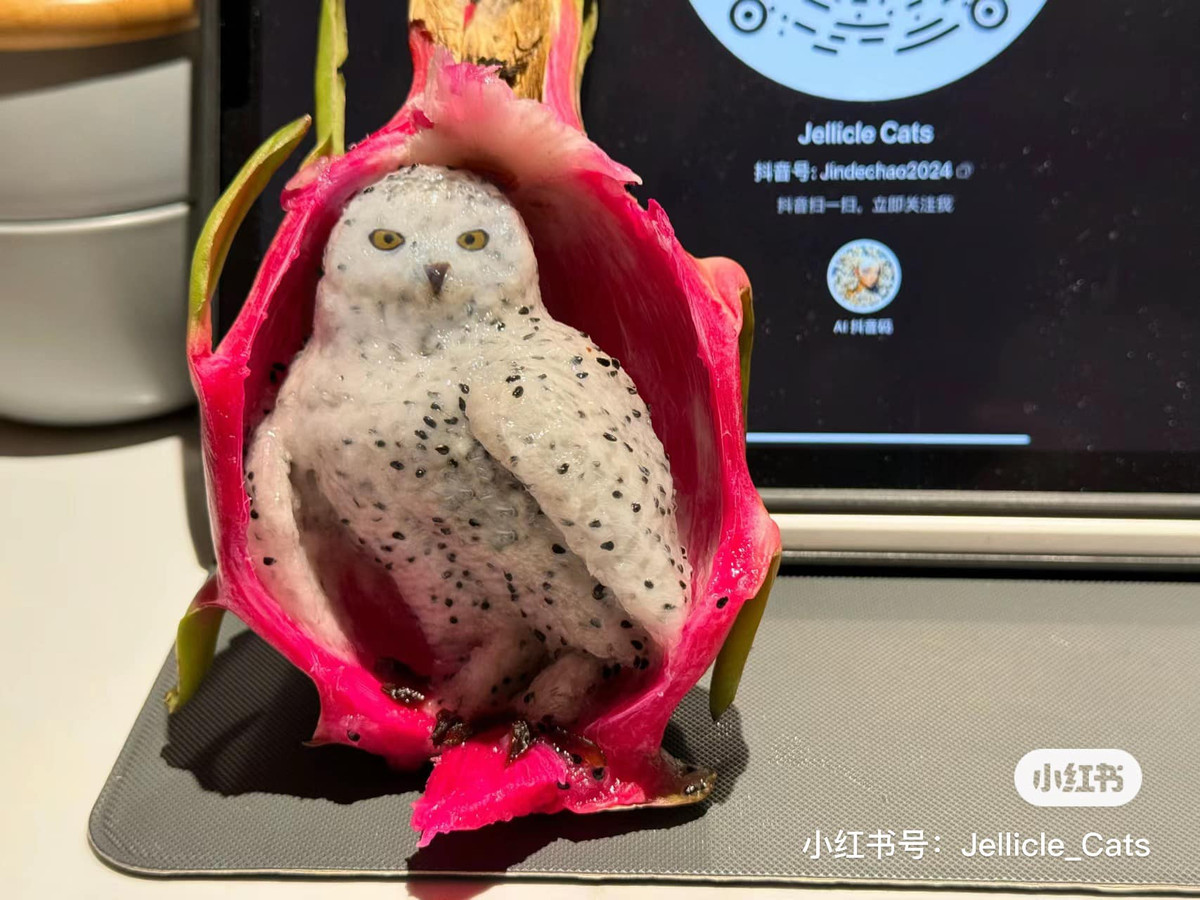 Đến đây thì nhiều người không khỏi wow vì thành phẩm, phần vỏ trái thanh long bên ngoài như một chiếc tổ xinh xắn.