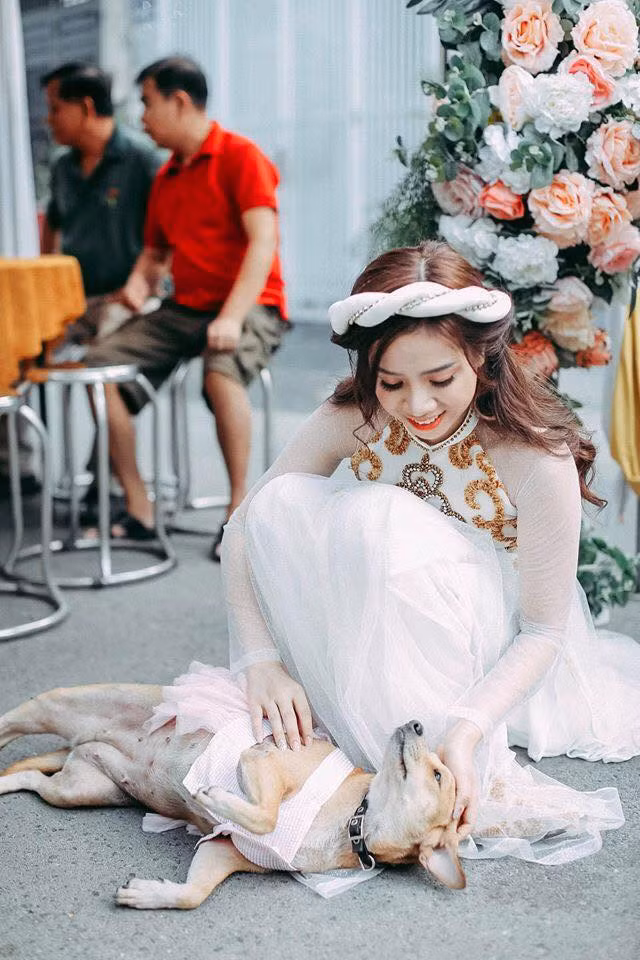 "Tuesday dự đám cưới" trong trang phục váy hồng cực kỳ "phản cảm" bởi chỉ che những chỗ không cần thiết còn những chỗ cần thì lộ hết ra. Đã vậy còn ngang nhiên nằm nũng nịu ngay giữa đám cưới khiến cộng đồng mạng chết cười.