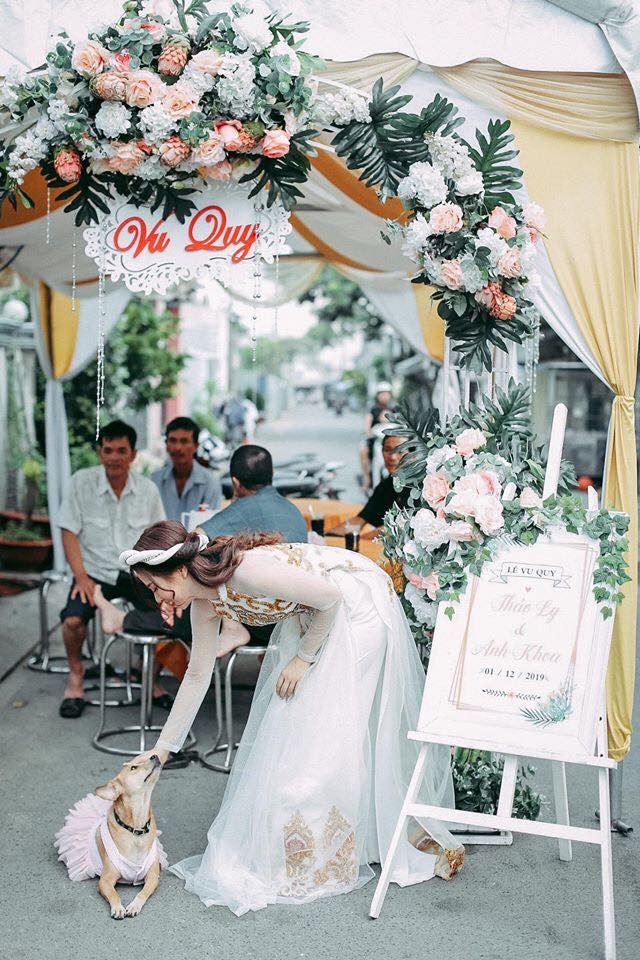 Chán hôn chú rể, "tuesday" chó lại bắt đầu làm nũng cô dâu. "Không biết con chó hay cô dâu chú rể mới là nhân vật chính của bữa tiệc nữa. Chết cười" - Facebooker H.Y bình luận.