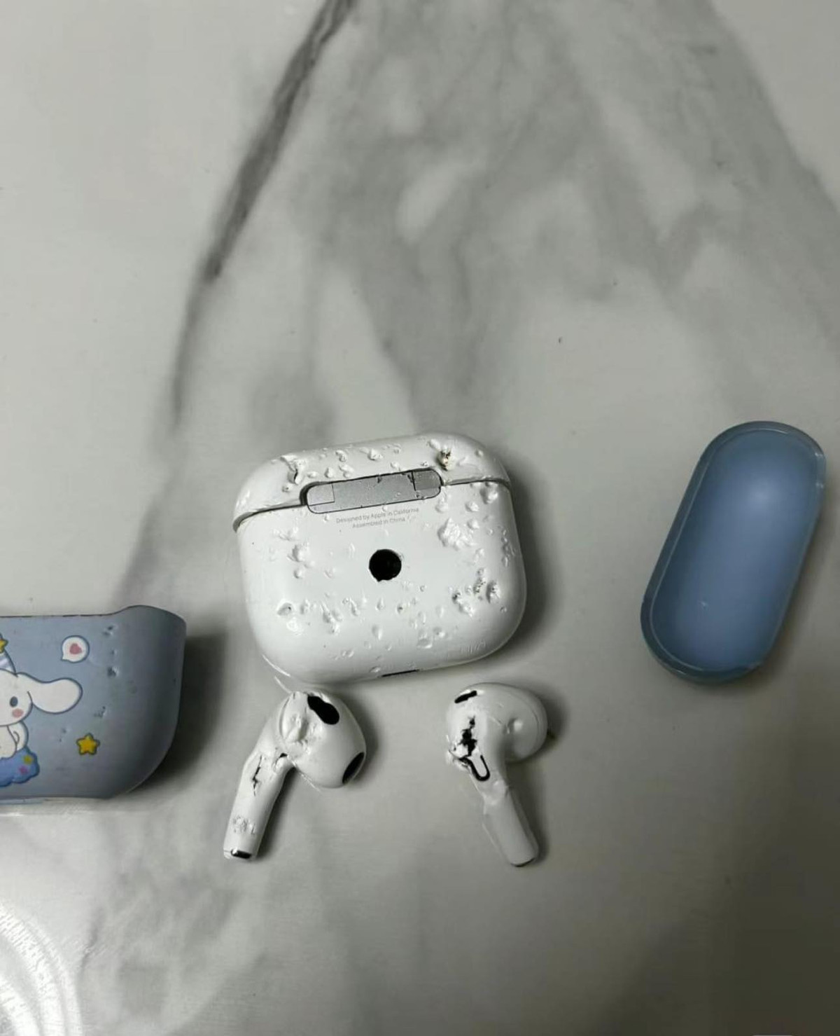 Hậu quả khi để quên tai nghe ở nhà với chú chó cưng.