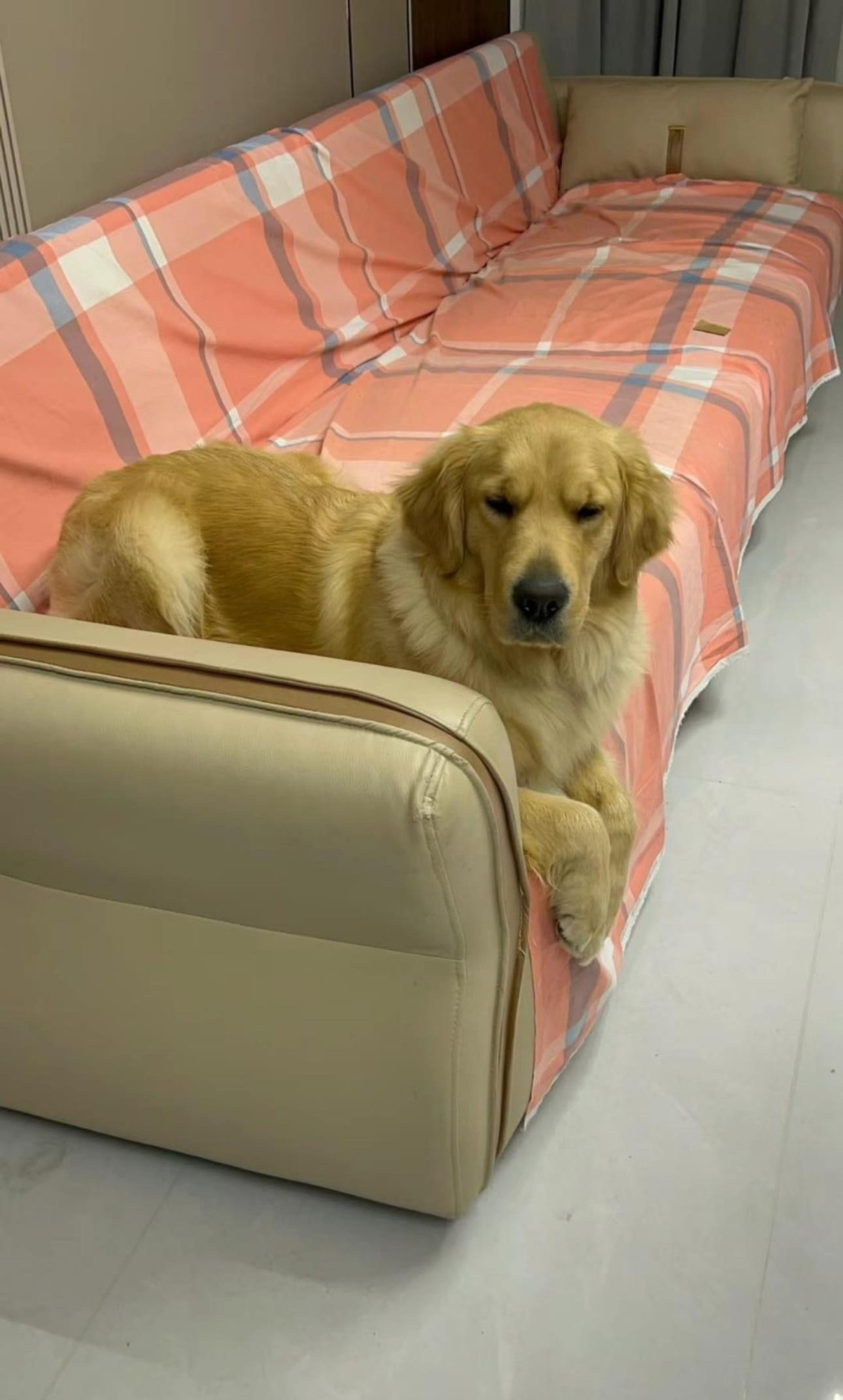 Gương mặt của thủ phạm, không có tí hối lỗi nào.