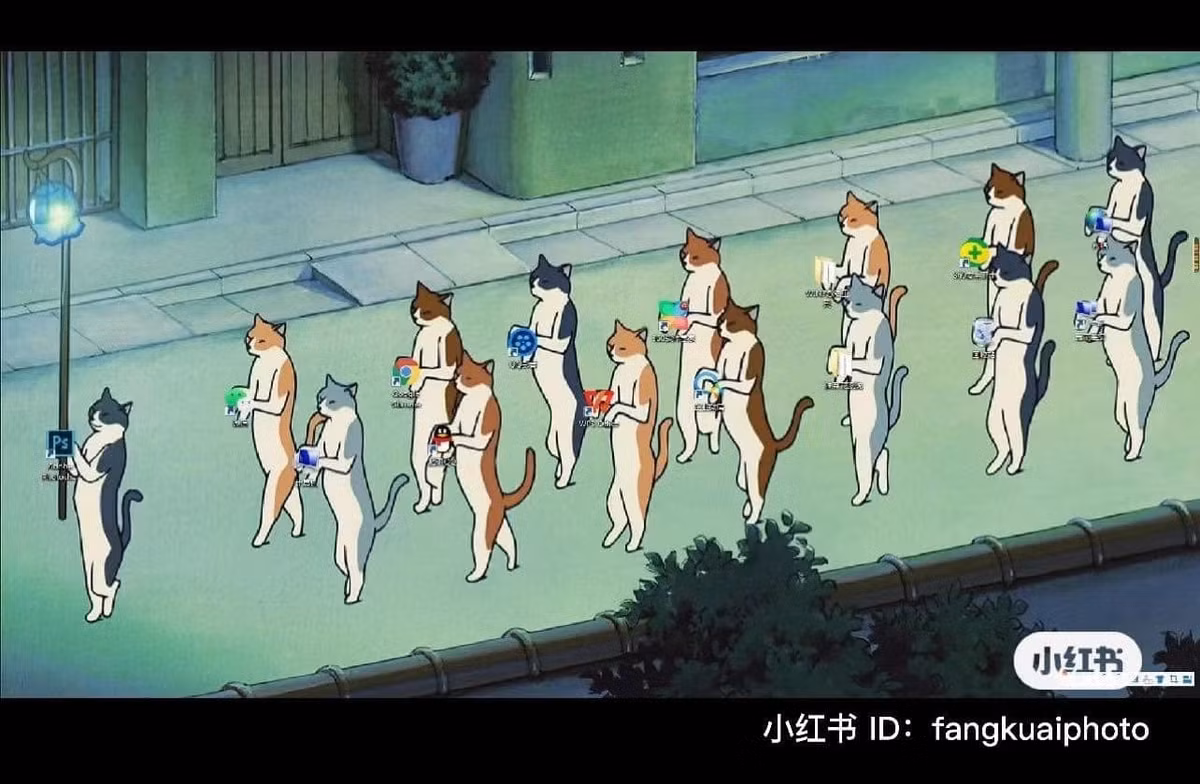 Đoàn mèo này cũng có ích đó chứ.