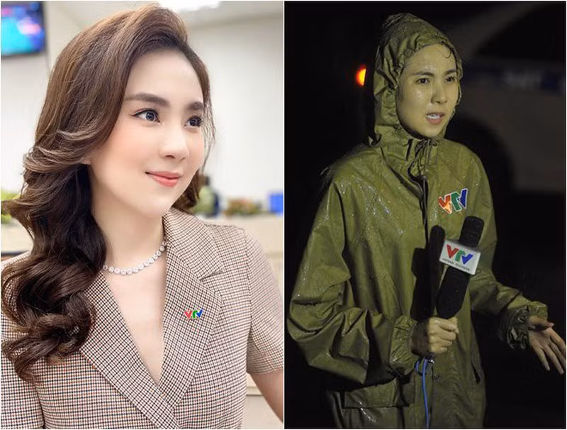 Mai Ngọc từng được gọi là "cô gái thời tiết" nổi tiếng nhất của VTV (Đài Truyền hình Việt Nam) thời điểm 2015.