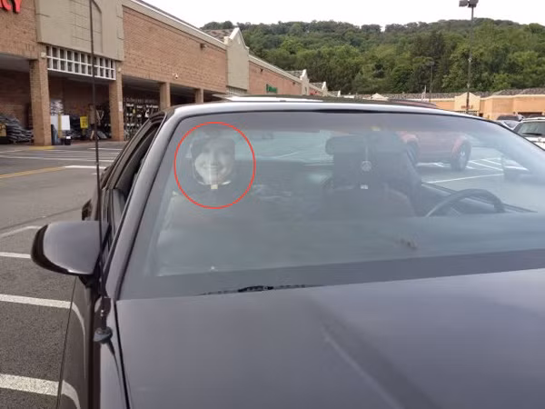 Để khỏa lấp nỗi trống vắng trong ngày lễ tết, dân FA thường nghĩ ra rất nhiều trò để làm mình bớt cô đơn. Điển hình khi đi xe hơi, họ dán một bức ảnh có phần đầu cô gái để người nhìn từ ngoài vào vẫn tưởng họ đang đi với người yêu.