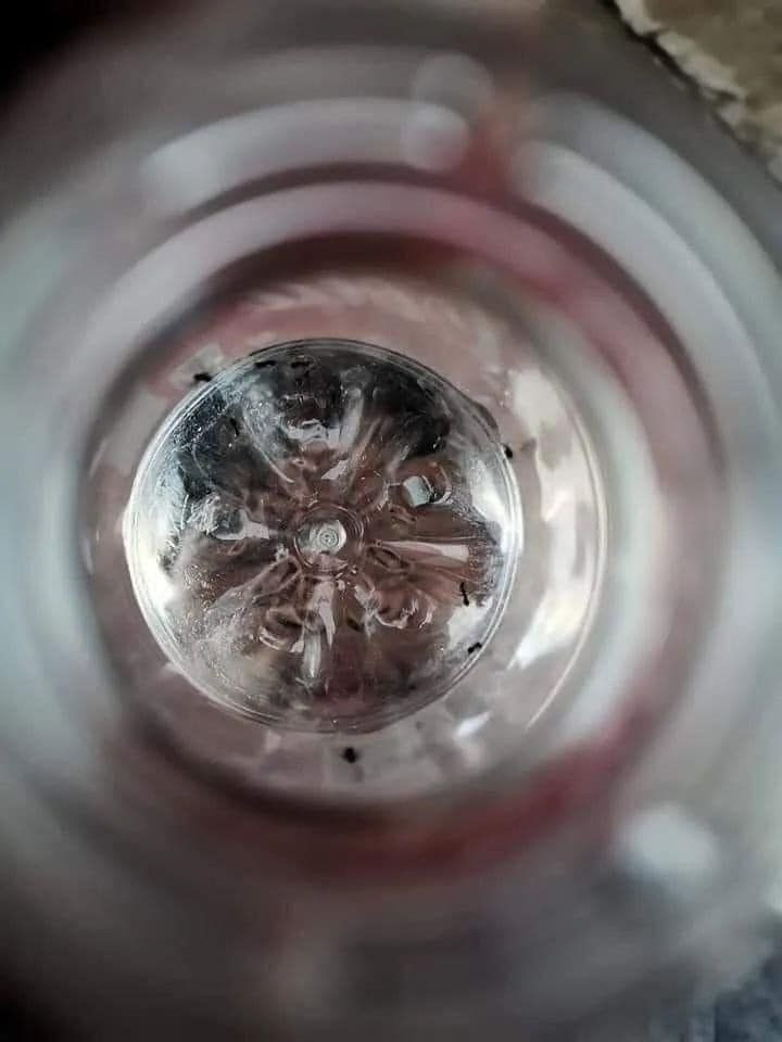 Thế nhưng kết quả khiến ai nấy không khỏi cạn lời.