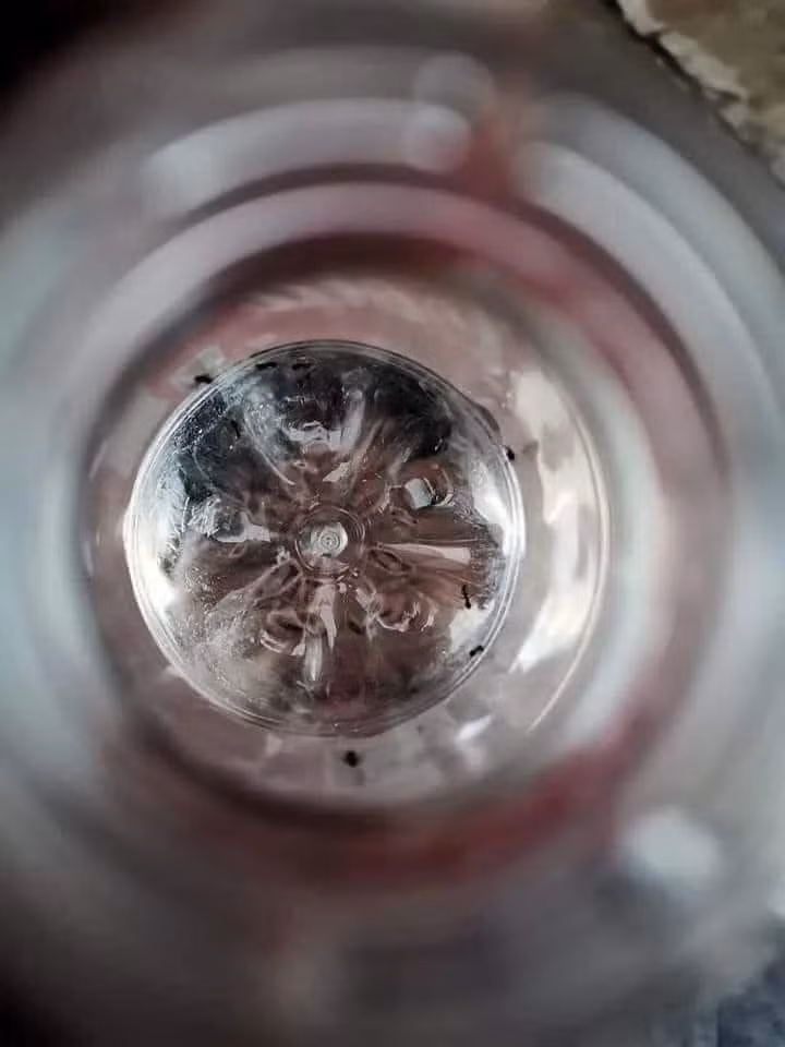 Thế nhưng kết quả khiến ai nấy không khỏi cạn lời.