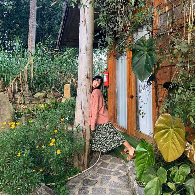 Không có người yêu, không có tường cũng không có cột, cô gái "túng quẫn" đâm đầu vào...cây.