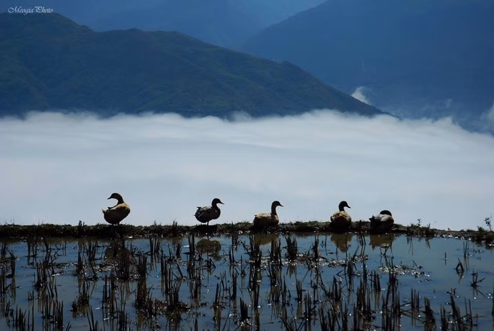 Với 4 ngày nghỉ lễ Tết dương, nhiều bạn nêu lên ý kiến đi Sapa bằng cách xe máy. Bạn có nickname Chi Pun chia sẻ trên Facebook: "Dù biết rằng đi phượt bằng xe máy khá nguy hiểm, nhưng nó đem lại một cảm giác thú vị".