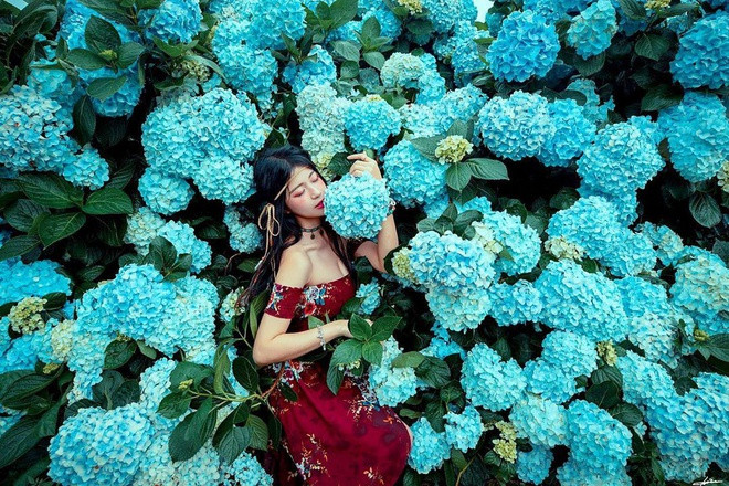 Bên cạnh làm mẫu nội y, cô nàng còn tham gia một số chương trình truyền hình thực tế. Gia Nghi có cửa hàng kinh doanh online về mỹ phẩm và thời trang được nhiều người ủng hộ.