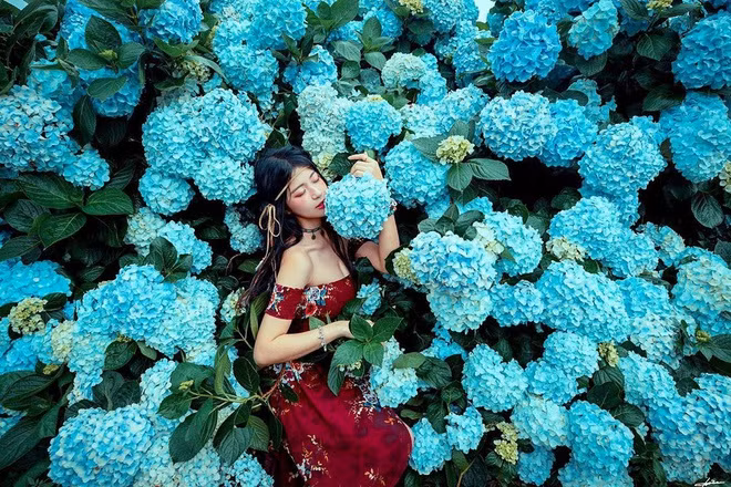 Bên cạnh làm mẫu nội y, cô nàng còn tham gia một số chương trình truyền hình thực tế. Gia Nghi có cửa hàng kinh doanh online về mỹ phẩm và thời trang được nhiều người ủng hộ.