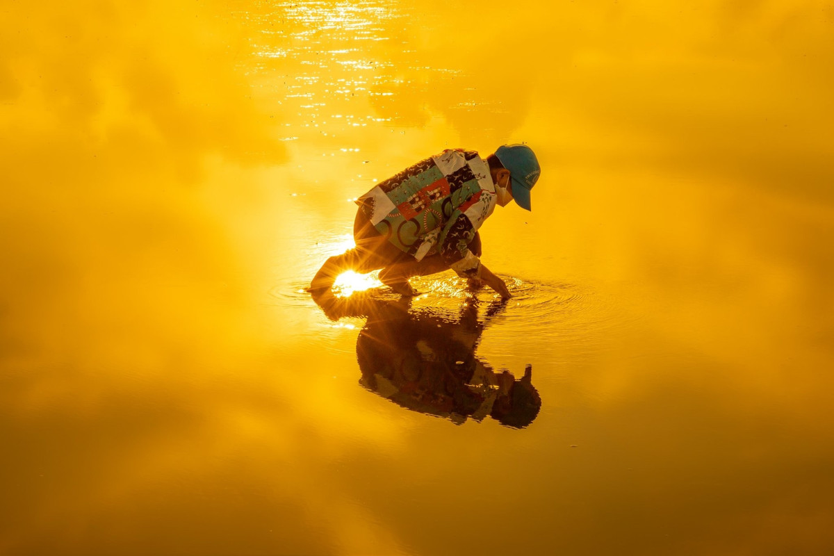 Hình ảnh mang nét đep lao động với cảnh ngư dân đang đi bắt ốc móng tay sáng sớm.