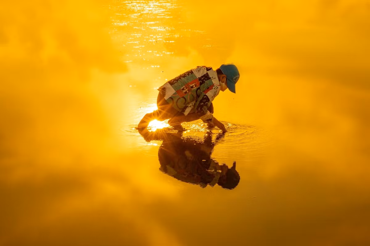 Hình ảnh mang nét đep lao động với cảnh ngư dân đang đi bắt ốc móng tay sáng sớm.