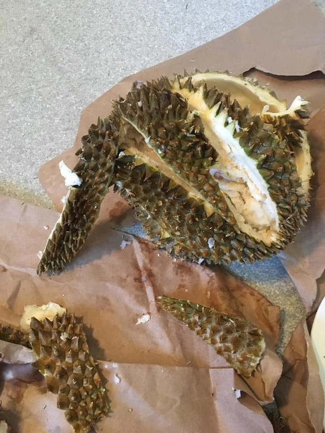 Nhìn thành quả là biết "khổ chủ" đã phải vật vã như thế nào.