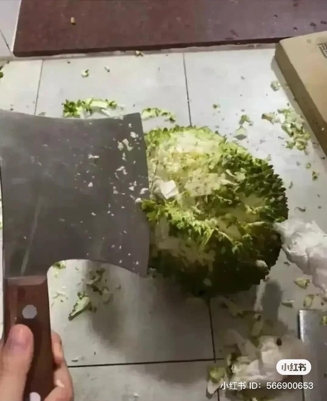 Một video ghi lại quá trình bổ sầu khiến nhiều người "cười ra nước mắt".