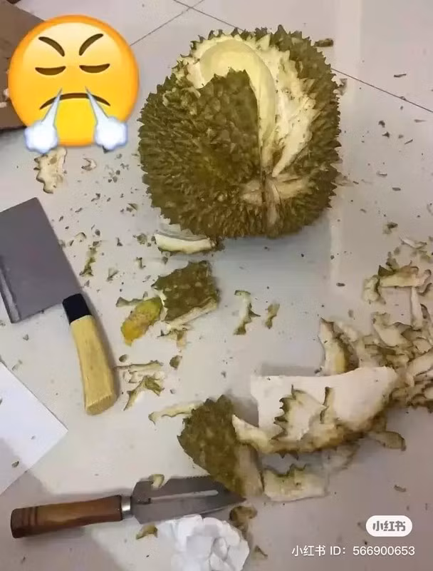 Dùng hết tất cả tài nghệ và dao có trong nhà rồi đấy nhưng kết quả thì thế này đây...