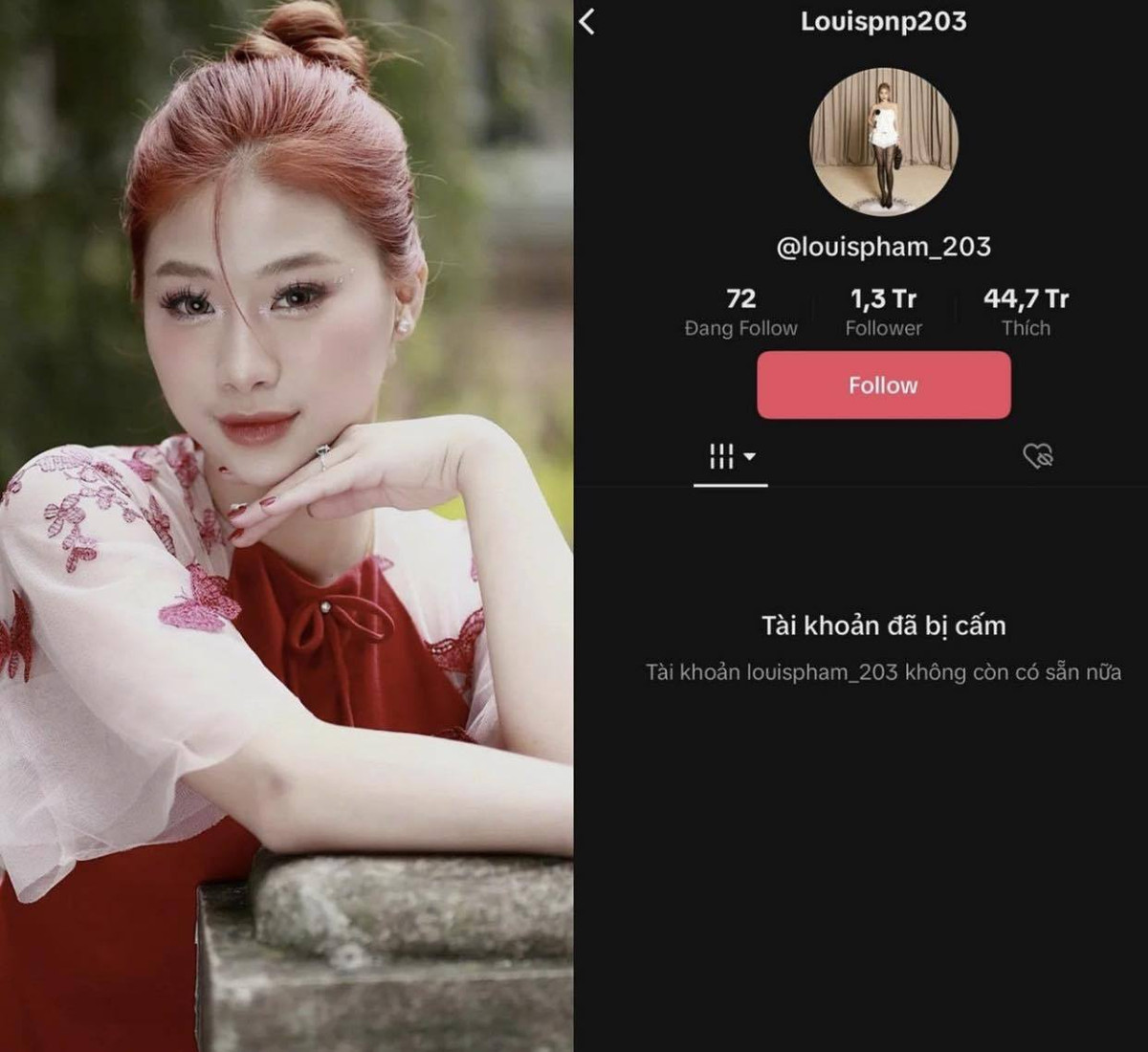 Bên cạnh đó, Phạm Như Phương thừa nhận do bản thân thiếu hiểu biết và thiếu quan sát, không tìm hiểu kỹ ý nghĩa của các bức tranh nên đã vô tình chia sẻ khiến cộng đồng mạng phẫn nộ, bất bình.