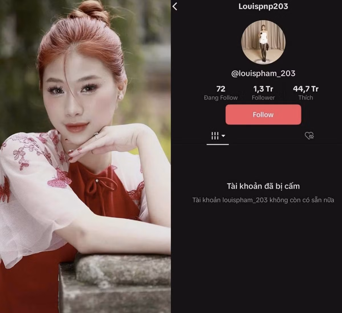 Bên cạnh đó, Phạm Như Phương thừa nhận do bản thân thiếu hiểu biết và thiếu quan sát, không tìm hiểu kỹ ý nghĩa của các bức tranh nên đã vô tình chia sẻ khiến cộng đồng mạng phẫn nộ, bất bình.