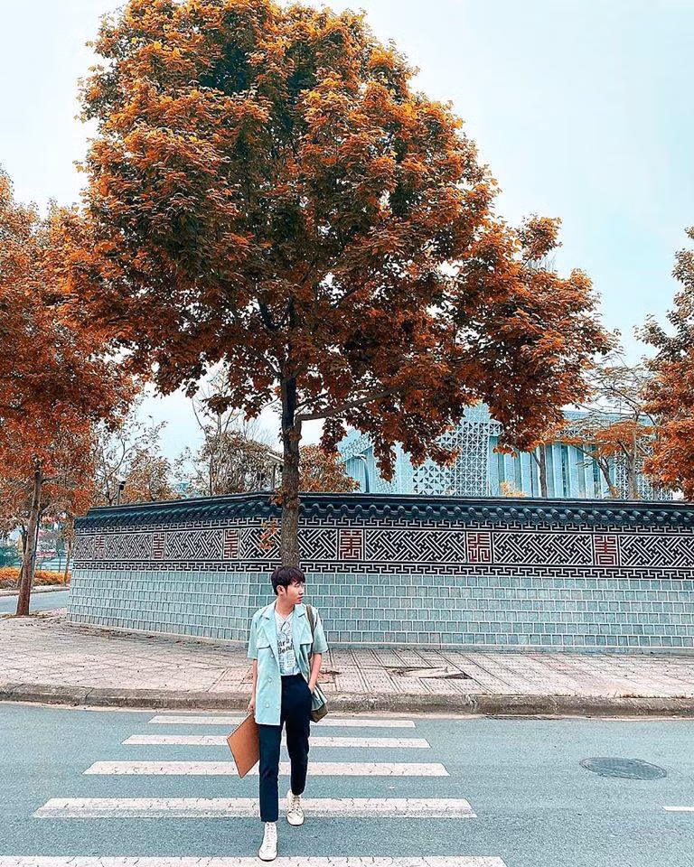 Mới đây, một diễn đàn lớn về địa điểm chụp hình check-in, ăn chơi tại Hà Nội chia sẻ một nơi mới toanh cho dân nghiện sống ảo tìm đến. Nơi đây có một bức tường lát đá đẹp không kém gì Hàn Quốc.