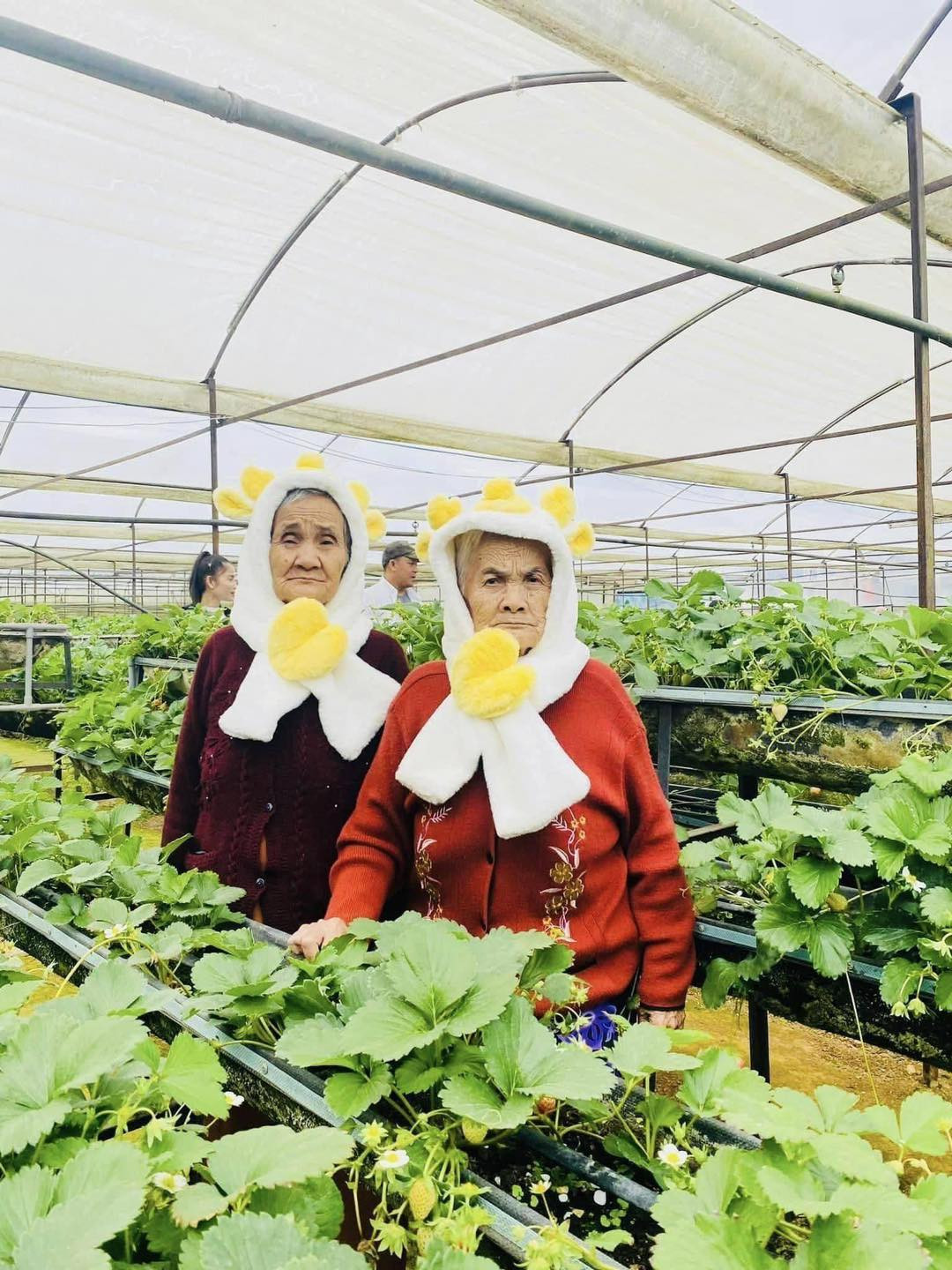 Hai cụ bà trong bộ ảnh là chị em gái ruột của nhau. Cụ bà Nguyễn Thị Thái (88 tuổi) và bà Nguyễn Thị Thảo (75 tuổi) hiện đang sống ở Tây Ninh.