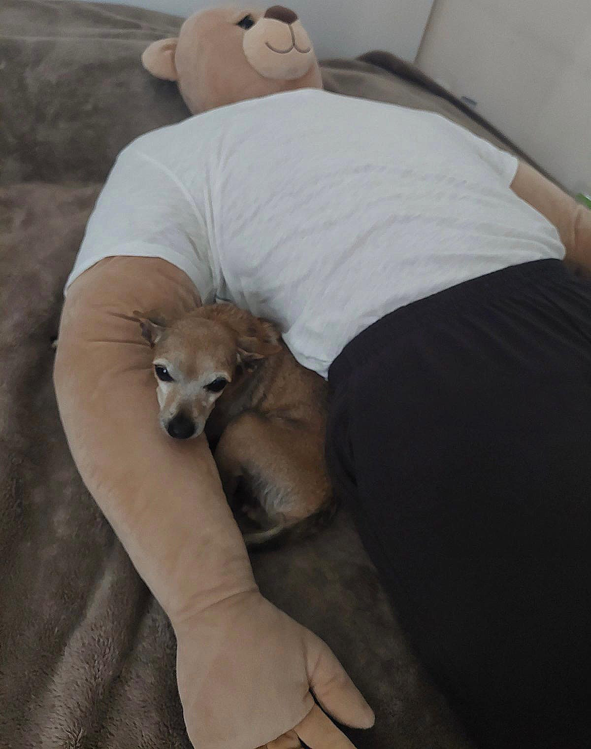 Nói về tính tiện lợi của một chú gối ôm hình dạng bạn trai này, nhà sản xuất còn đề cập thêm: "Anh ấy trở thành một phần của gia đình và luôn ở nhà chờ bạn. Anh ấy không ngáy, không đổ mồ hôi, và...anh ấy không phàn nàn".