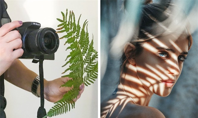 9. Sử dụng lá cây để tạo ra các hiệu ứng độc đáo. Ảnh: BrightSide