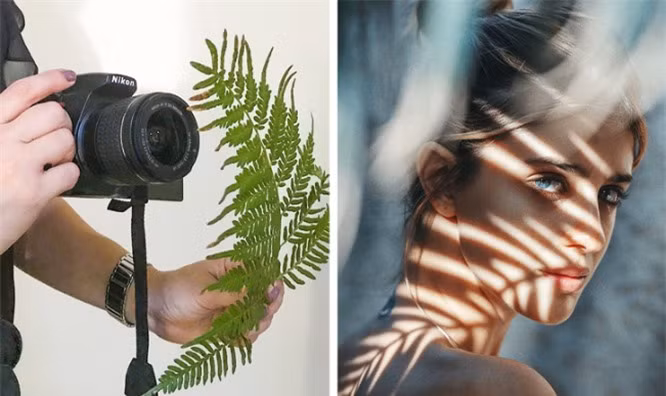 9. Sử dụng lá cây để tạo ra các hiệu ứng độc đáo. Ảnh: BrightSide