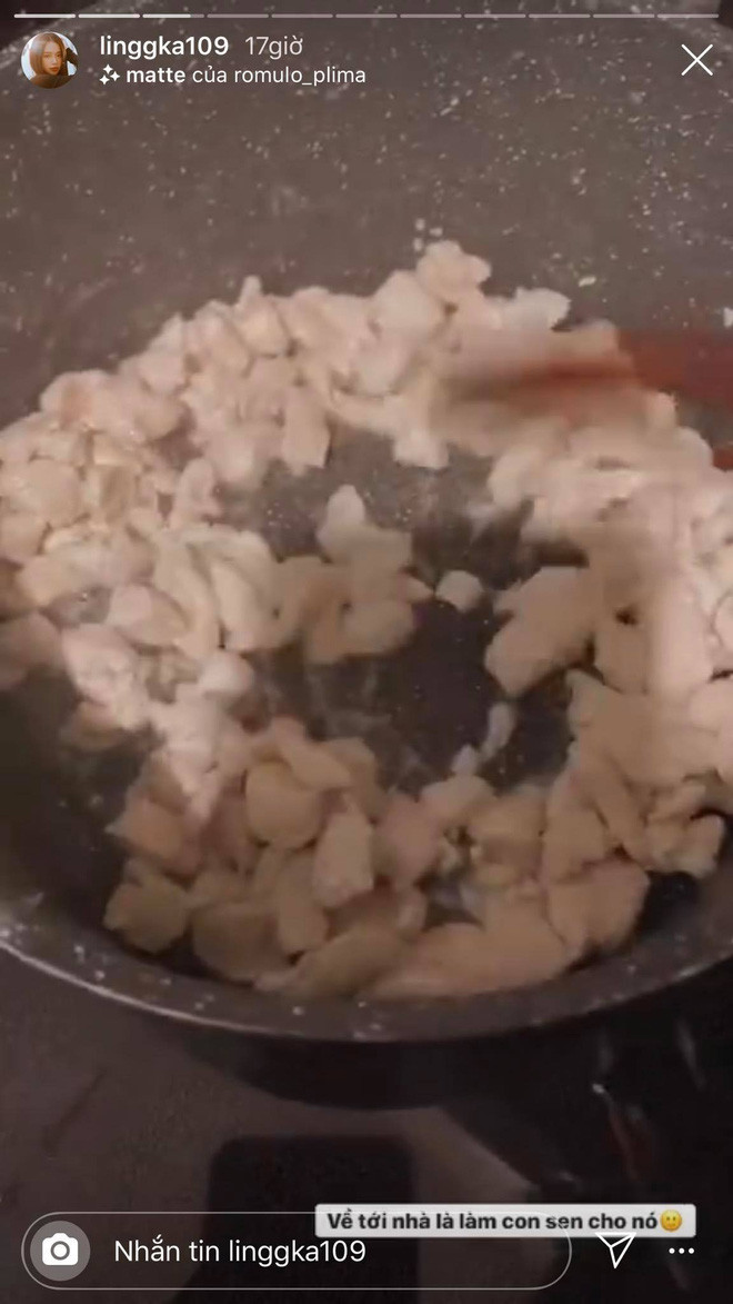 Đi làm, đi học thì thôi chứ về đến nhà lại lao vào dọn dẹp, nấu ăn, phục vụ thú cưng.