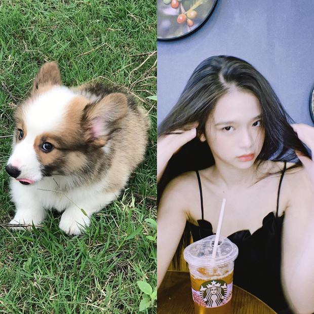 Linh Ka dành rất nhiều thời gian và sự quan tâm cho chú chó cưng của mình.