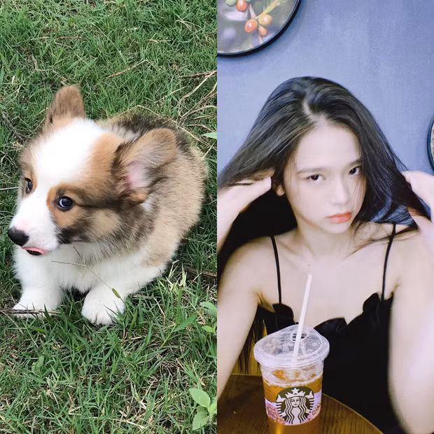 Linh Ka dành rất nhiều thời gian và sự quan tâm cho chú chó cưng của mình.