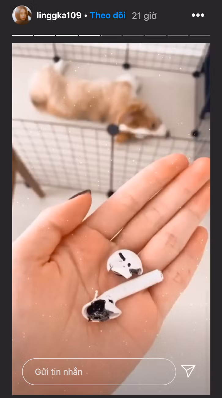 Thậm chí, khi thú cưng cắn nát tai nghe Airpod, cô nàng cũng không dám đánh đòn mà chỉ quát mắng: "Mỡ! Con cắn Airpod của ai đây? Cắn của ai đây? Tại sao con lại nghịch như thế? Con có biết là ai phải đền không? Mẹ đền chứ còn ai đền nữa. Trời ơi! Con mang họa vào cái nhà này".