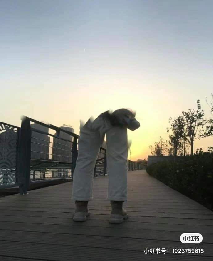 Bức ảnh này không hề qua photoshop...