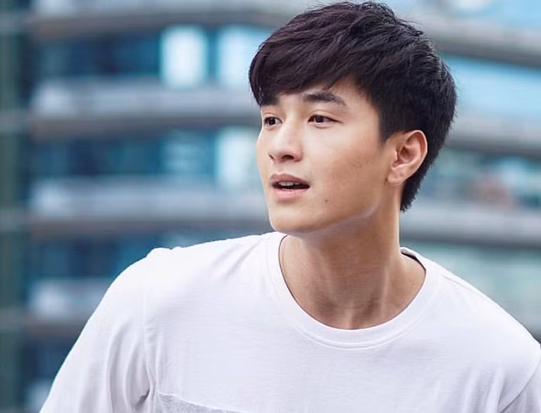 Lợi thế về ngoại hình, Huỳnh Anh khá thành công với sự nghiệp mẫu ảnh, sau đó anh chàng lấn sân sang điện ảnh, góp mặt trong một số bộ phim như "Tình khúc bạch dương", "Cả một đời ân oán", "Chạy trốn thanh xuân",...