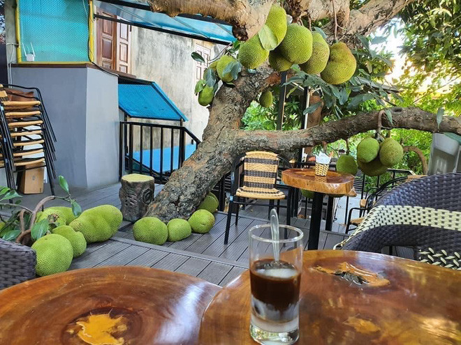 Nhiều cư dân mạng nhận định cây mít trĩu quả này có lẽ đã khá lâu năm nên thân cây vươn rất cao, được chủ quán thiết kế cho đâm xuyên qua sàn tầng 2, tán cây lớn phủ rộng tạo bóng mát cho cả không gian ngoài trời.