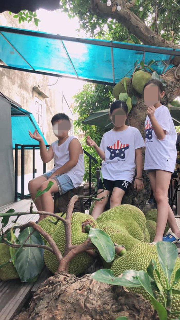 Cư dân mạng tỏ ra rất thích thú với không gian quán đặc biệt như thế này, có người còn nói vui rằng chủ quán phải chú ý giữ gìn lắm thì mới bảo toàn được số mít đó.