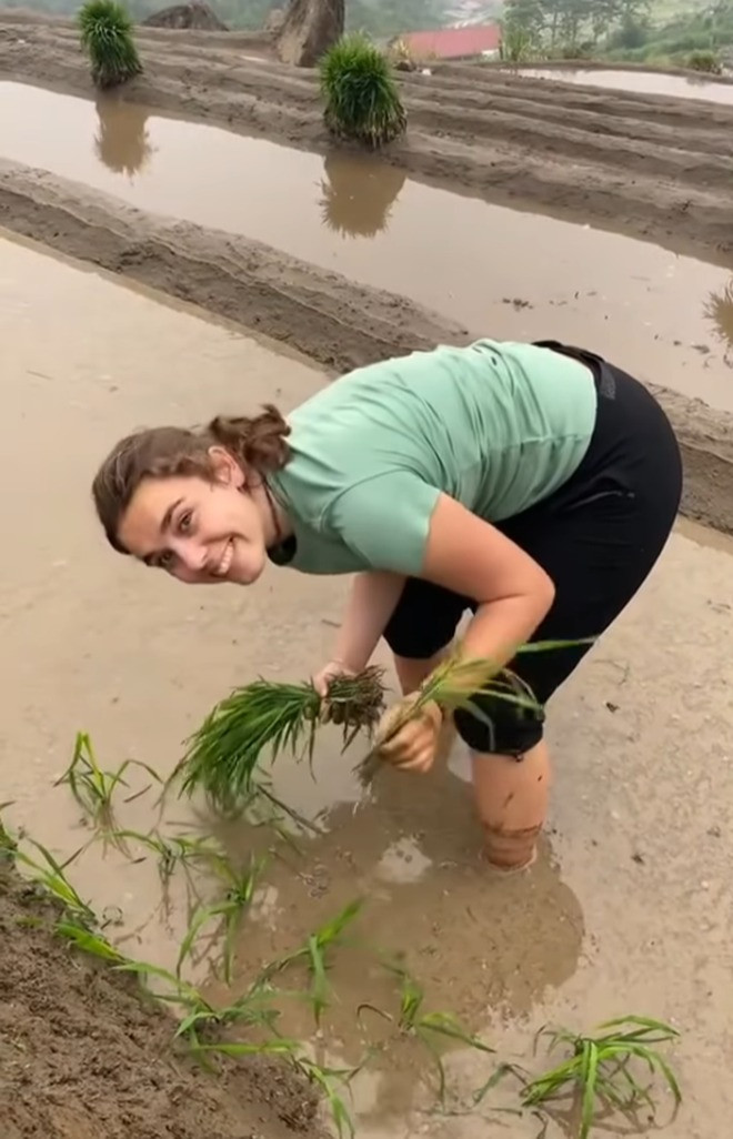 Trong đoạn clip, đoàn khách khá hào hứng với công việc làm nông, họ xắn quần cao, chân lội ngập bùn, cười tươi thích thú.