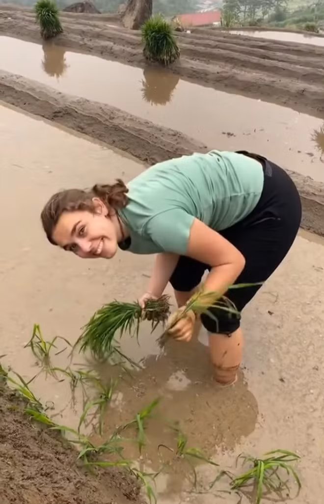 Trong đoạn clip, đoàn khách khá hào hứng với công việc làm nông, họ xắn quần cao, chân lội ngập bùn, cười tươi thích thú.