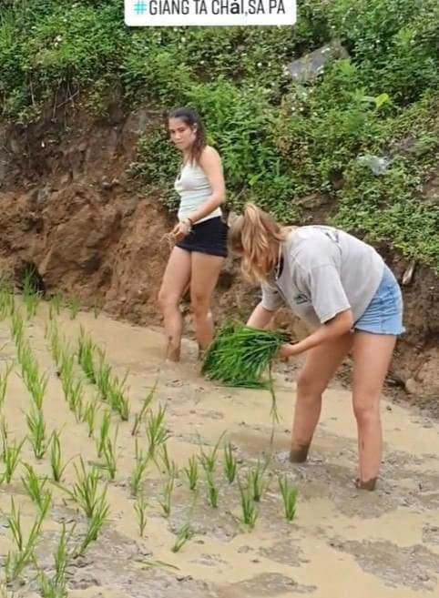 Được biết nhóm khách trên là đoàn sinh viên người Pháp đang học tại Hà Nội, lên Sapa du lịch.