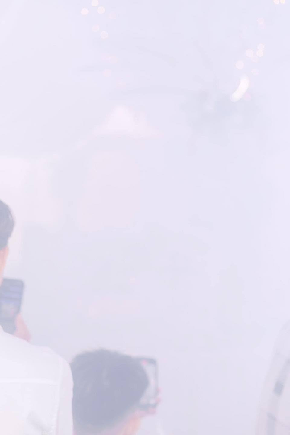 Cô dâu chú rể hoàn toàn tàng hình trong bức ảnh.