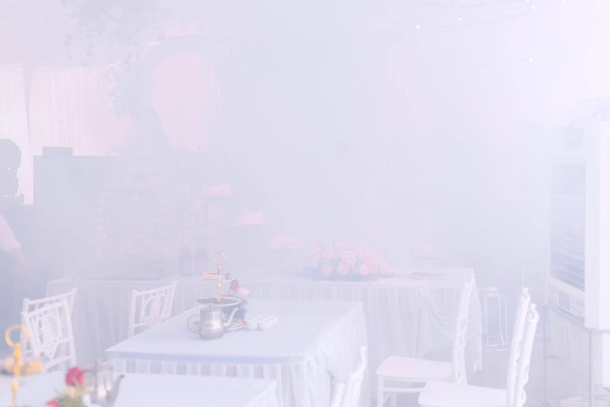 Không biết là do máy ảnh, do người chụp, hay do không gian bữa tiệc quá nhiều khói mà bức ảnh chỉ có 1 màu trắng xóa không nhìn rõ một ai.