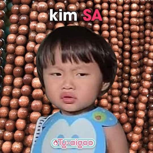 Nhờ đó, cộng đồng mạng tại Việt Nam đã bắt đầu xem lại những vlog trước đây của chị Quỳnh và nhận ra độ đáng yêu vô cực của Sa.