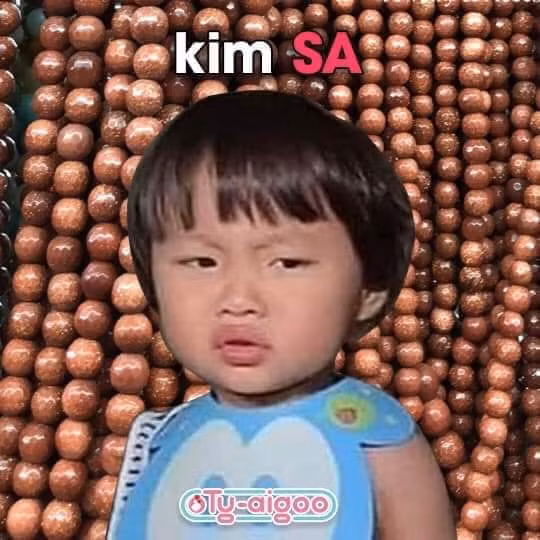 Nhờ đó, cộng đồng mạng tại Việt Nam đã bắt đầu xem lại những vlog trước đây của chị Quỳnh và nhận ra độ đáng yêu vô cực của Sa.