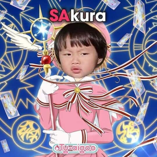 Tuy nhiên cũng có 1 số ý kiến cho rằng không nên lạm dụng hình ảnh của Sa để chế thành những hình ảnh phản cảm, không phù hợp. Vì dù sao Sa vẫn là trẻ con và mọi người nên tôn trọng, bảo vệ cậu bé.