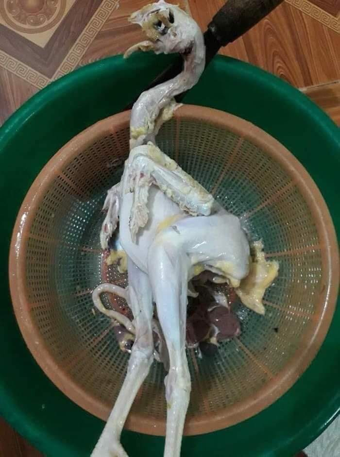 Cách đây không lâu, một chàng trai đăng tải lên mạng xã hội hình ảnh một con gà bị vặt trụi lông, mất hết cả da và nham nhở với lời cầu cứu "Lần đầu em về nhà bạn gái chơi mà lỡ tay lột hết da gà thì làm sao hả các bác?" khiến dân mạng "cạn lời".