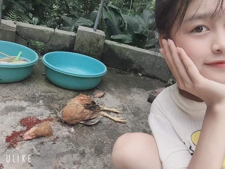 Tuy nhiên đó không phải trường hợp khổ sở nhất, một cô gái ra mắt nhà bàn trai còn giết gà theo cách vô cùng dã man đó là...chặt đứt đầu khiến người xem không biết nên khóc hay nên cười.