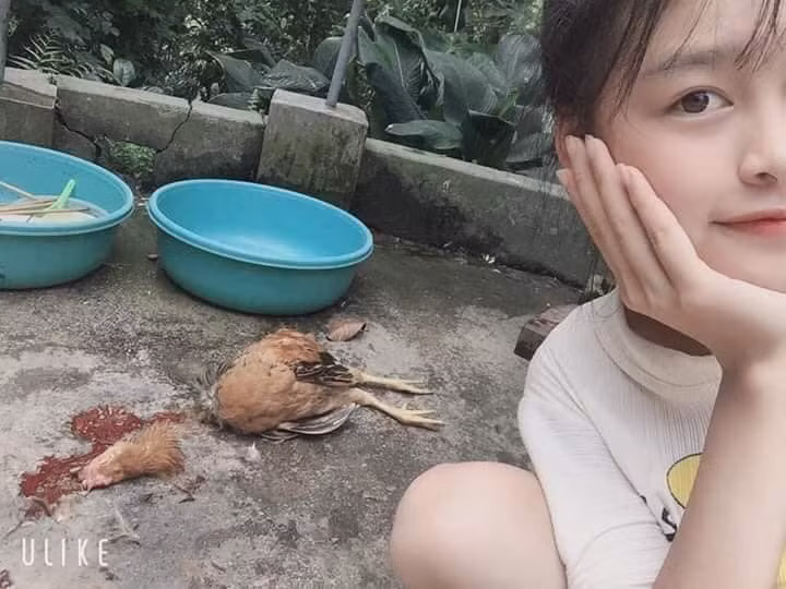 Tuy nhiên đó không phải trường hợp khổ sở nhất, một cô gái ra mắt nhà bàn trai còn giết gà theo cách vô cùng dã man đó là...chặt đứt đầu khiến người xem không biết nên khóc hay nên cười.