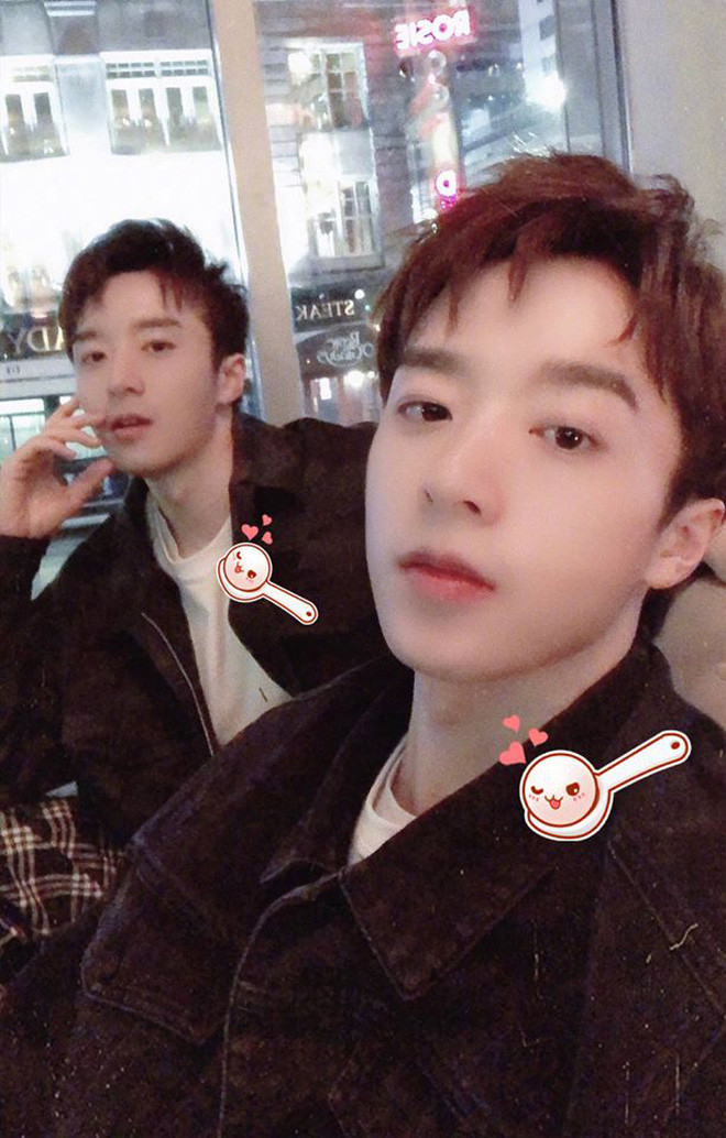 Gầy đi cùng màn dậy thì thành công, chiều cao tăng đáng kể, các đường nét trên khuôn mặt gọn gàng hơn nên Tử Văn và Tử Hào như lột xác thành 2 người hoàn toàn mới. Hiện tại hai anh em sinh đôi này đang theo đuổi sự nghiệp mẫu ảnh, diễn viên đóng phim ngắn, MV,....