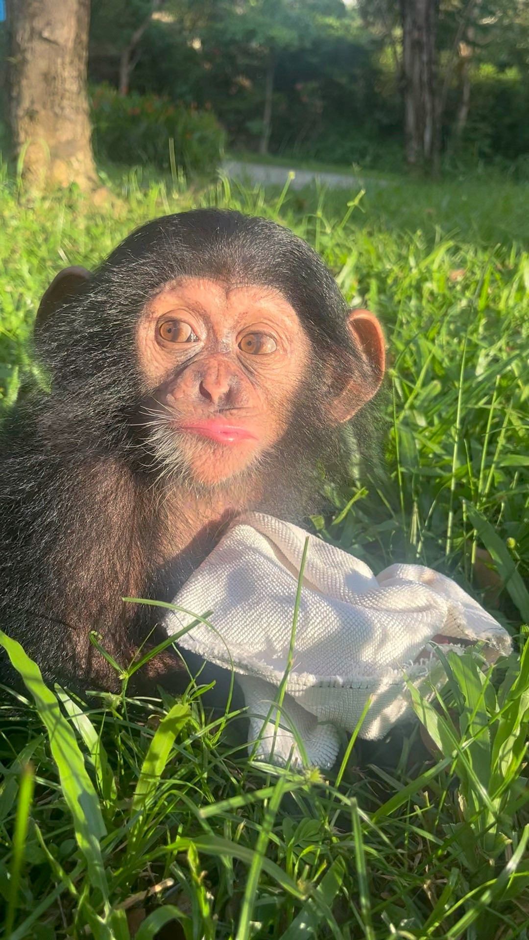 Biểu cảm đặc trưng của Mây là chu mỏ.