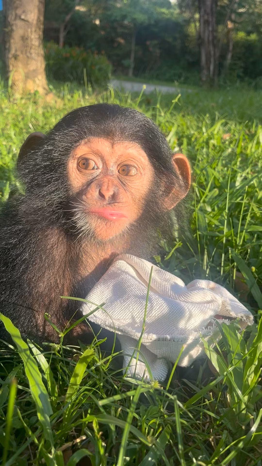 Biểu cảm đặc trưng của Mây là chu mỏ.