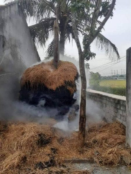 "Cháu yêu" thử 1 mồi lửa, và đây là kết quả.